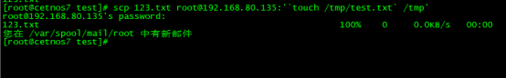 image-20230606164116788
